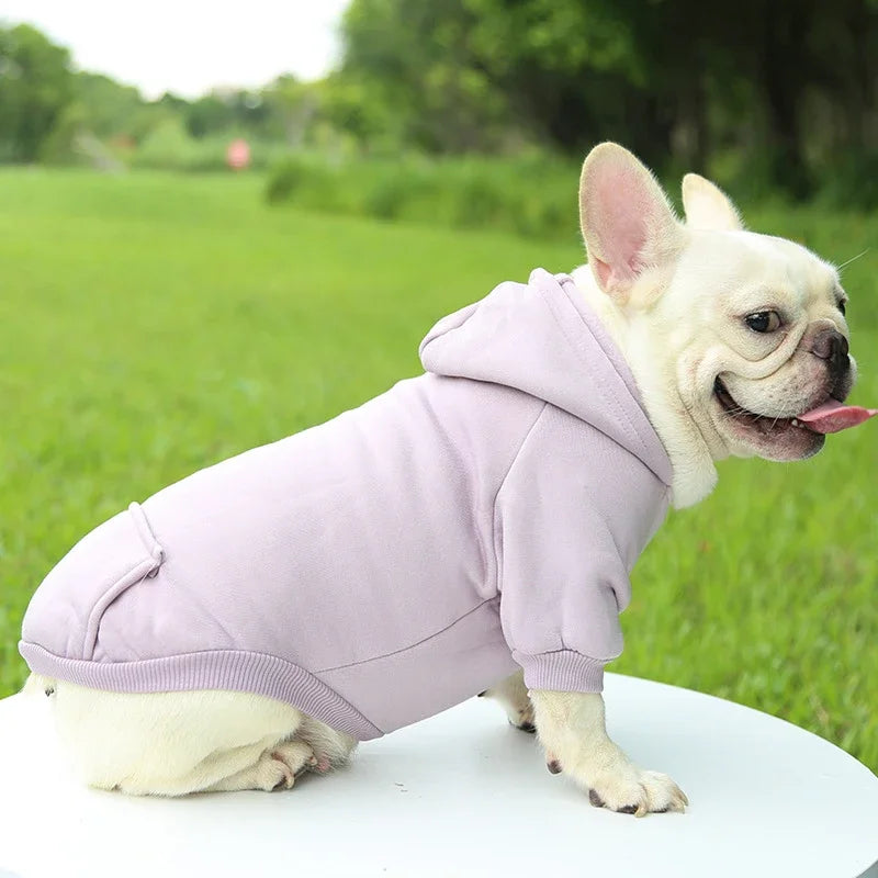 Thick Warm Hooded Dog Sweater Clothing for Casual Pet Wear