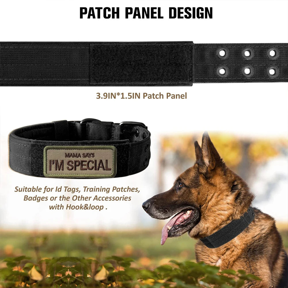 Durable Nylon Tactical Dog Collar For Training And Outdoor Walking