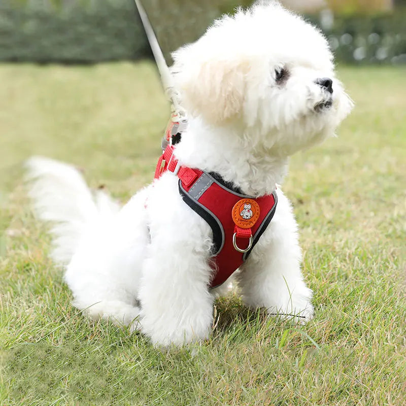 Adjustable No Pull Dog Harness And Leash Set For Walking