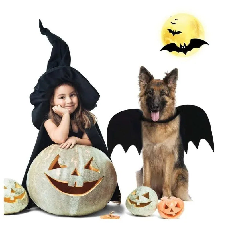 Halloween Bat Wing Costume for Cats and Small Dogs