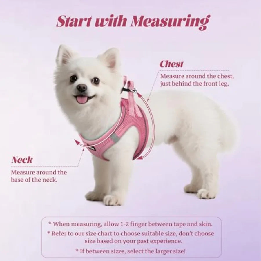 Adjustable Reflective No-Pull Dog Harness and Leash Set for Outdoor Walks
