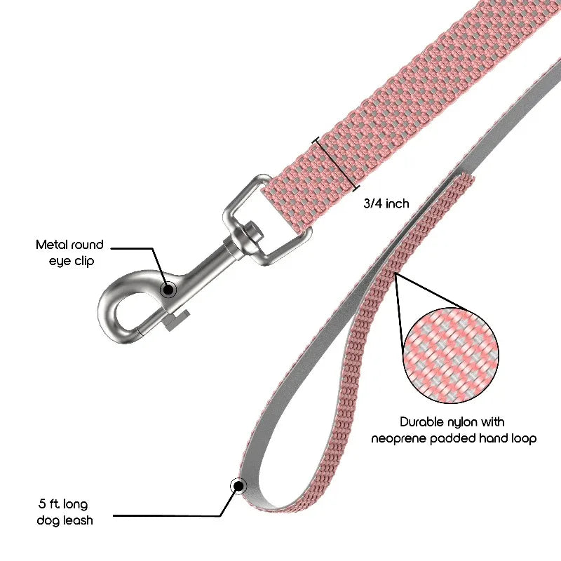 Nylon Anti Shock Padded Dog Leash for Comfortable Walks