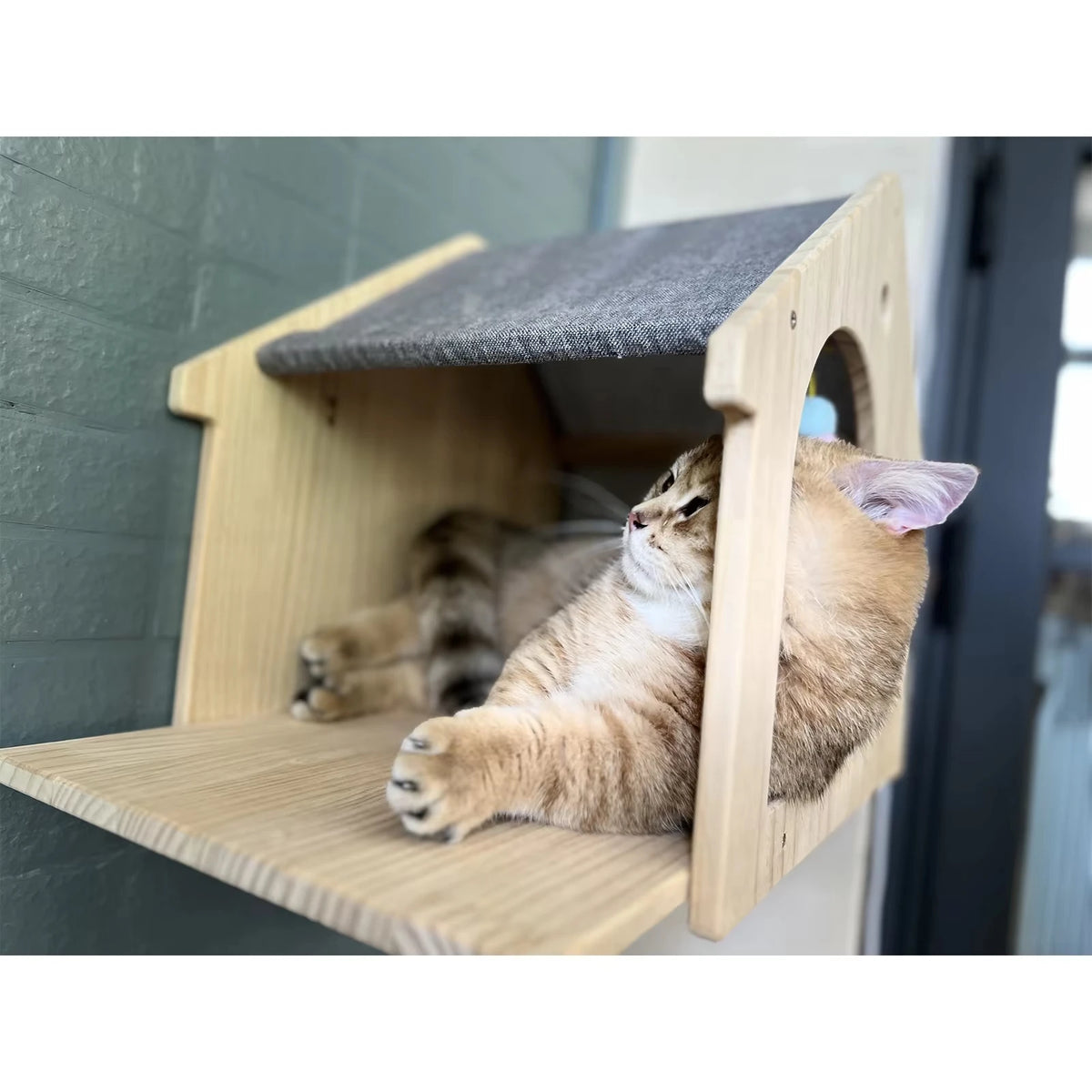 CWV Wooden Wall Mounted Cat Villa Platform Resting Shelf