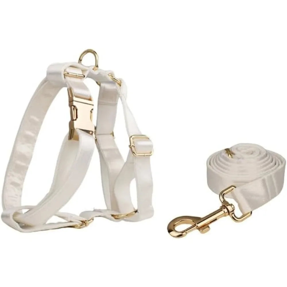 Personalized Adjustable Dog Collar With Name Tag And Leash