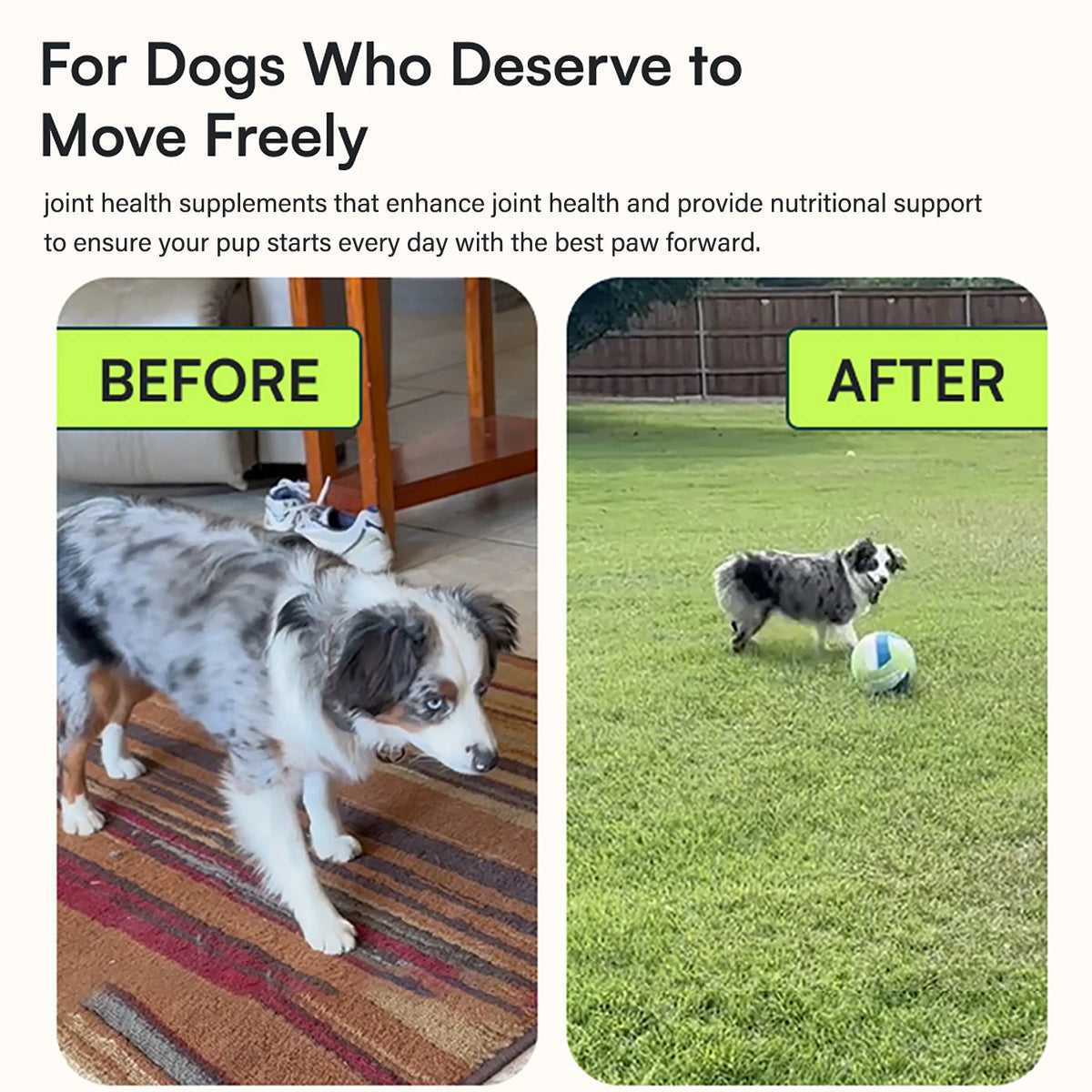 LISM Dog Hip And Joint Supplement With Glucosamine Chondroitin