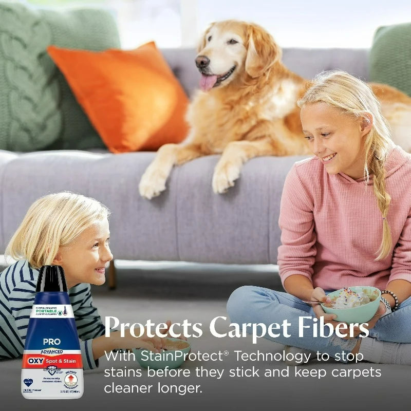 Pro Spot And Stain Cleaner With Stainprotect Technology