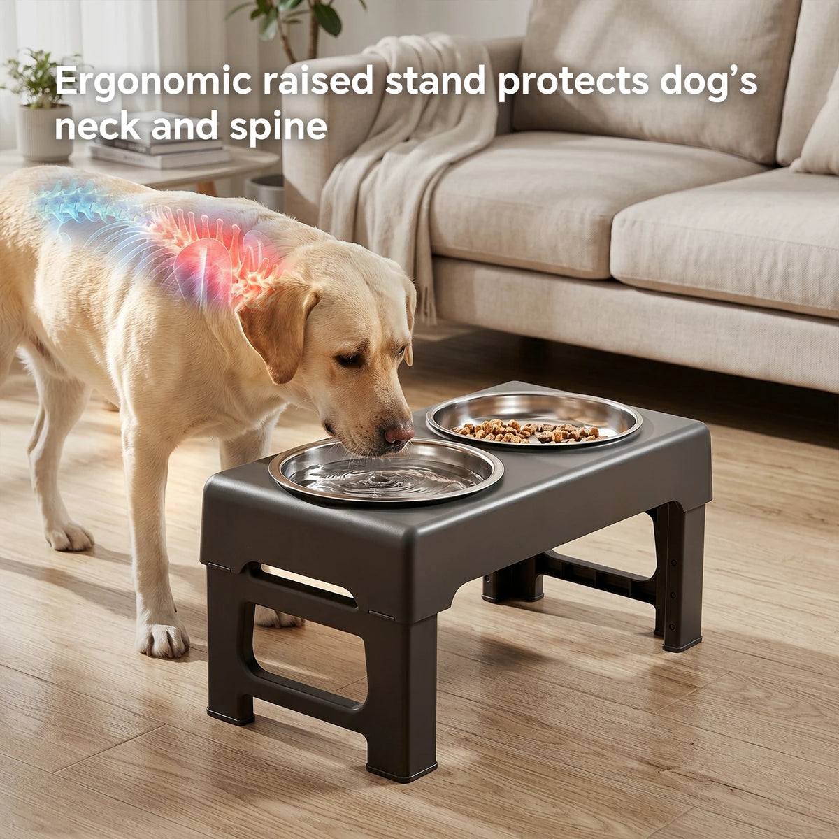 Adjustable Raised Dog Feeder With Double Stainless Steel Bowls