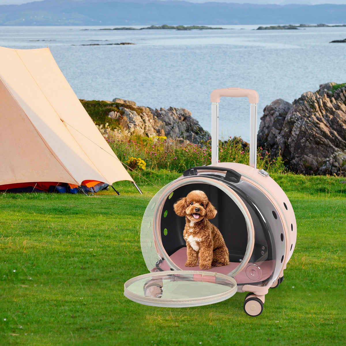 Transparent Pet Travel Carrier Trolley With Telescopic Handle And Wheels
