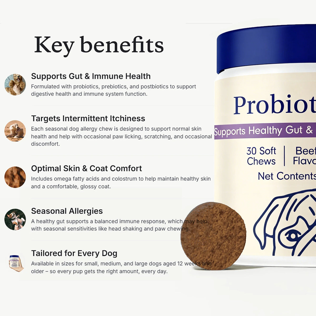 Advanced Dog Probiotic Chews For Comprehensive Digestive Support