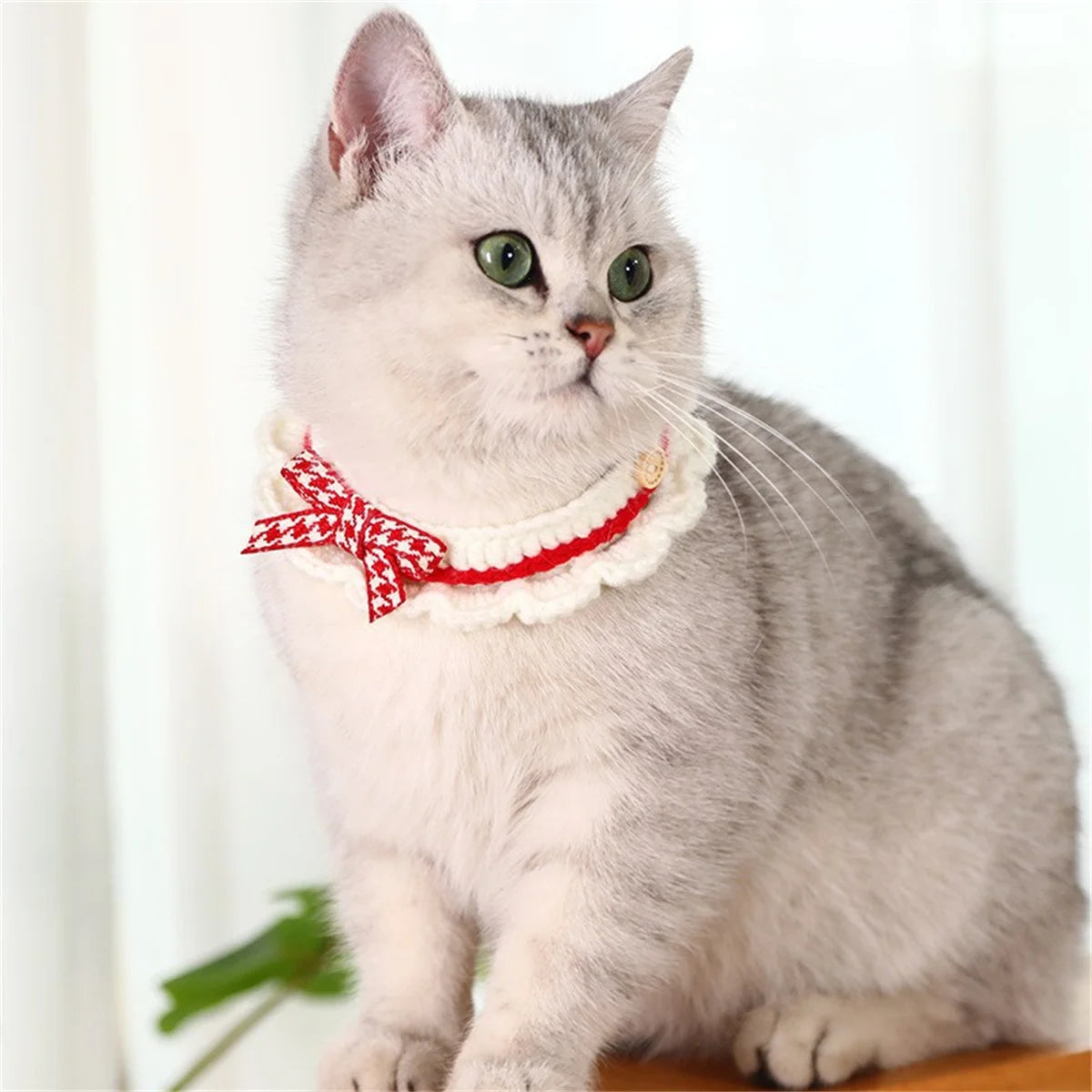 Knitted Bowknot Adjustable Pet Collar With Decorative Lace