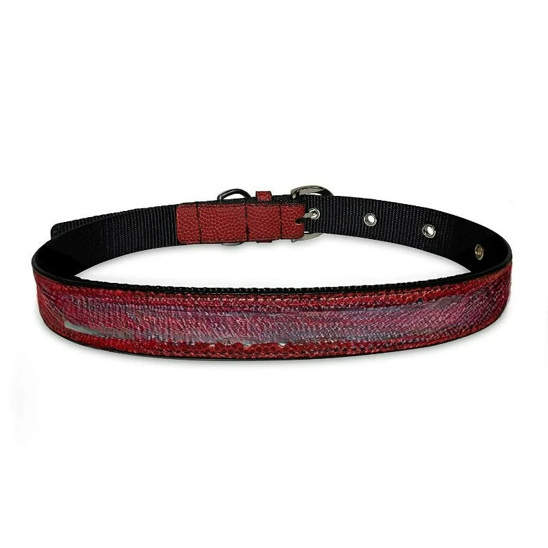 Premium PVC Leather Dog Collar With Signature Design