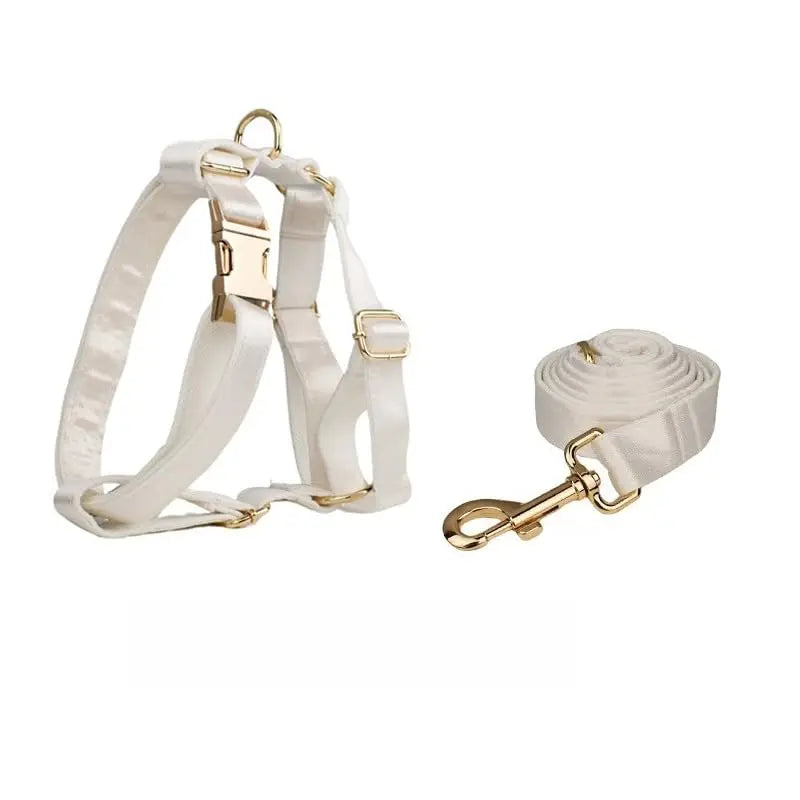 Personalized Adjustable Dog Collar With Name Tag And Leash