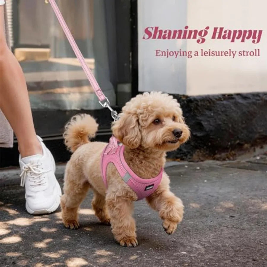 Adjustable Reflective No-Pull Dog Harness and Leash Set for Outdoor Walks