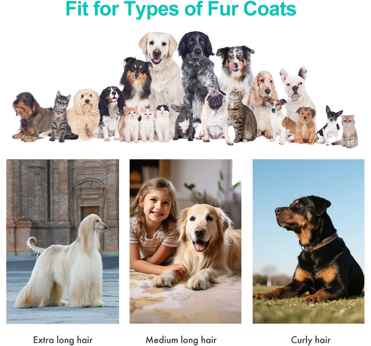 Pet Grooming Vacuum Kit With Powerful Hair Removal And Clippers