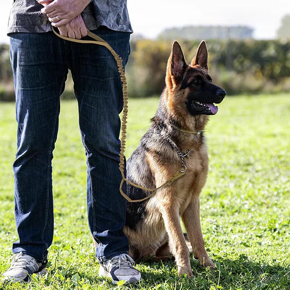 Adjustable Tactical Dog Leash With Quick Release Dual Handle Nylon Rope