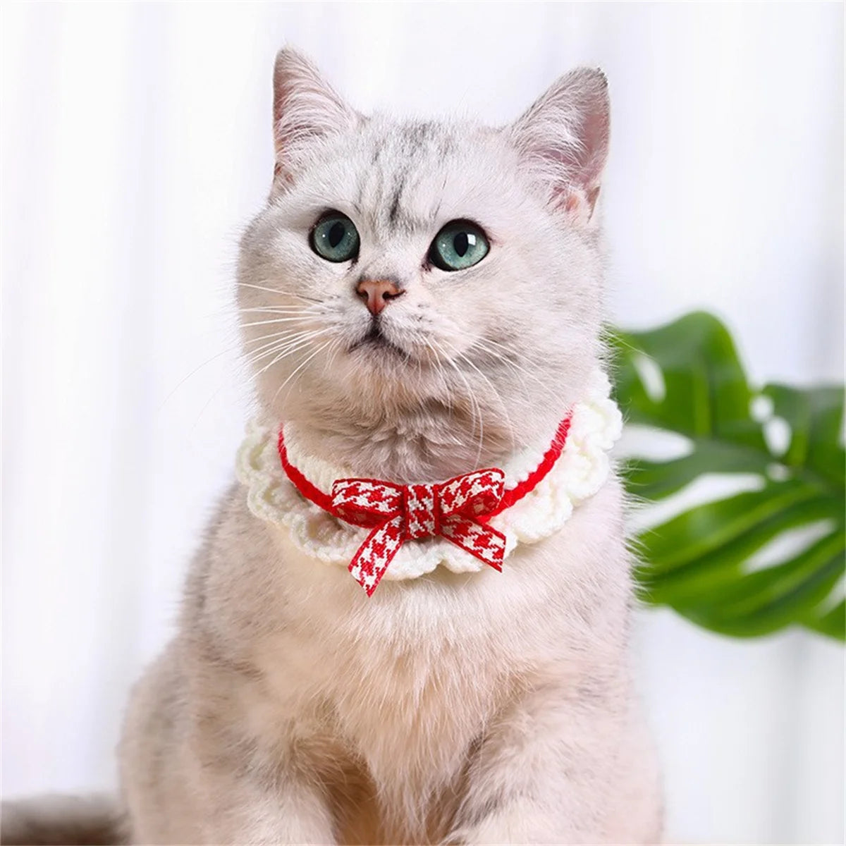 Knitted Bowknot Adjustable Pet Collar With Decorative Lace