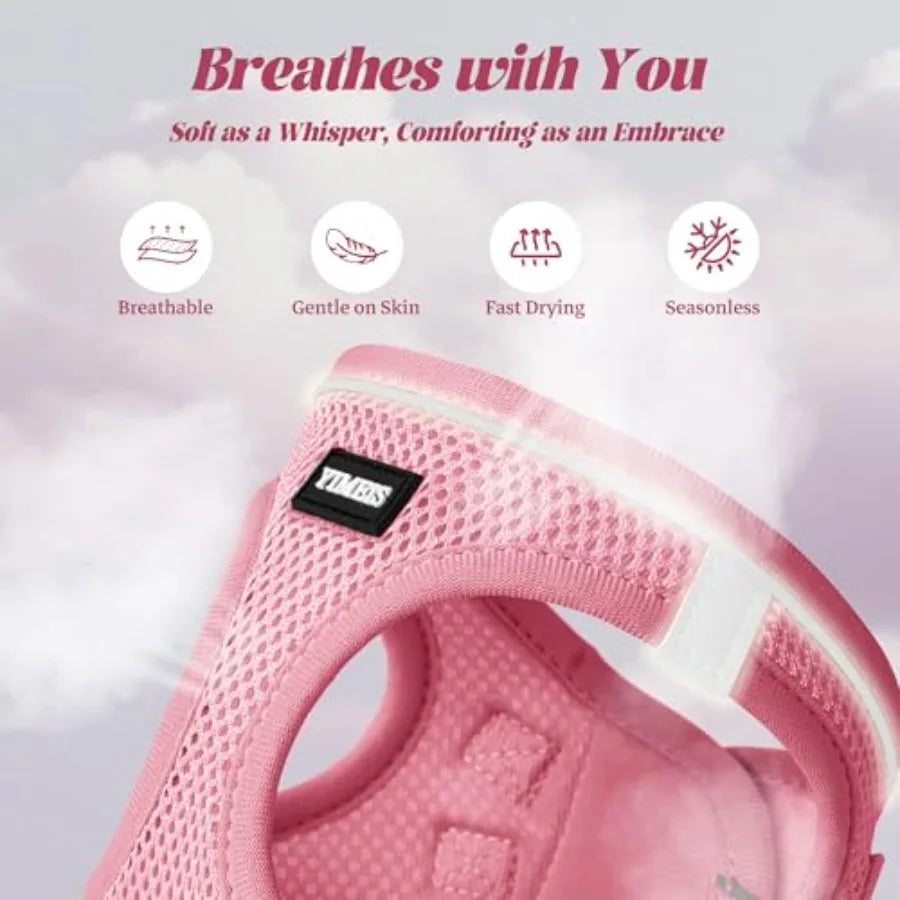 Adjustable Reflective No-Pull Dog Harness and Leash Set for Outdoor Walks