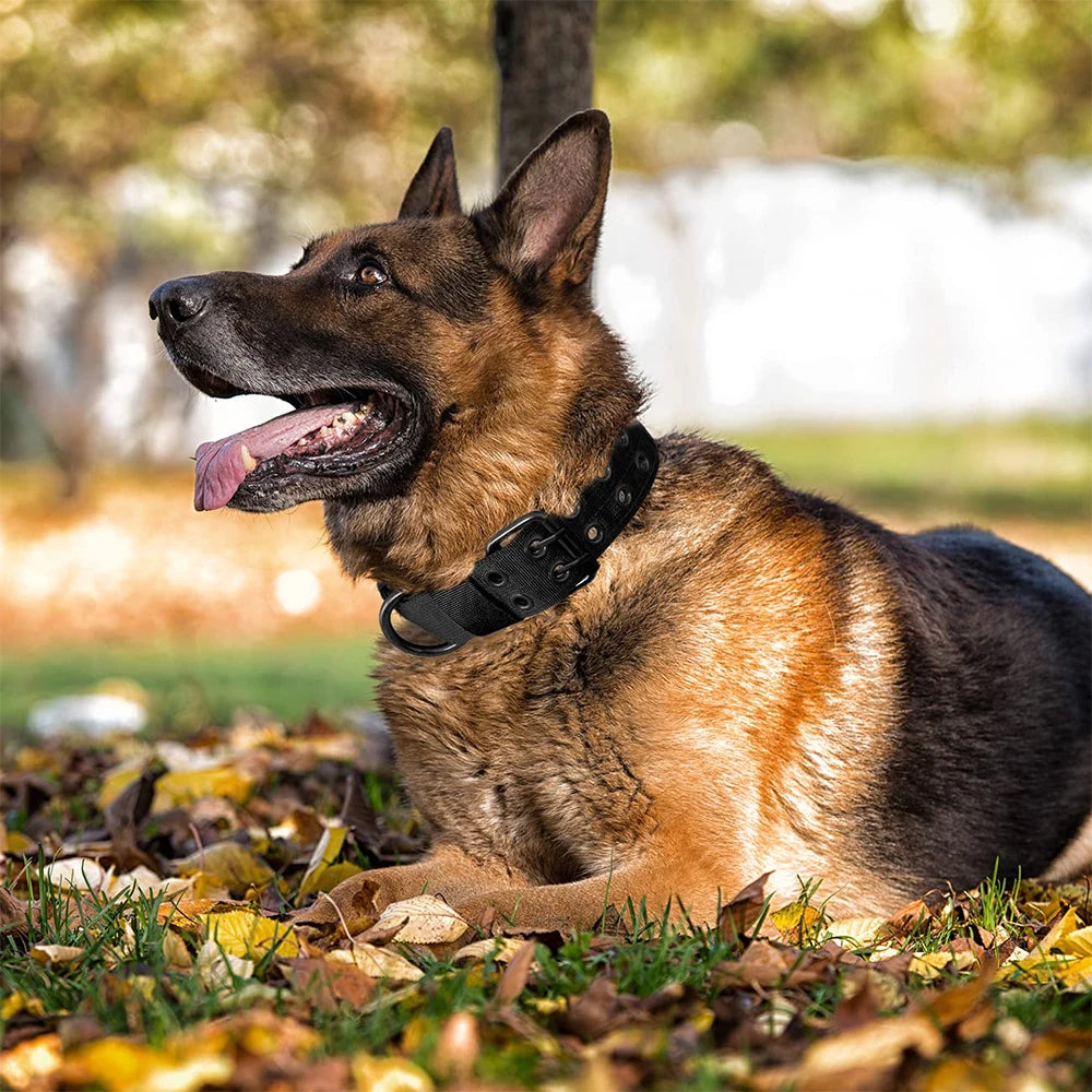 Durable Nylon Tactical Dog Collar For Training And Outdoor Walking